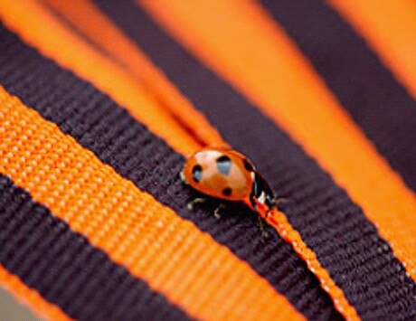 Humanitární sbírka pro Donbass